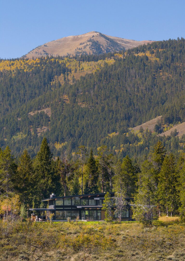 Teton Mountain Home-5